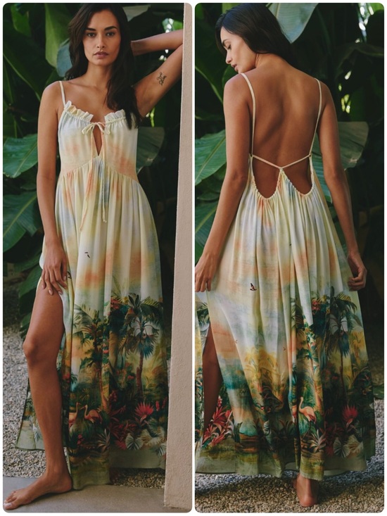 Celandine Dresses & Skirts - NWT! CELANDINE 🏞️ Scenic Maxi Dress - Resort - Size L